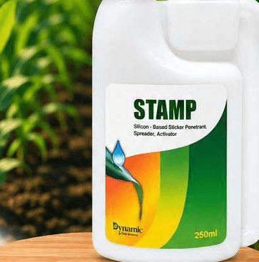 STAMP pack