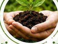 Farmer's hands holding soil with a young seedling